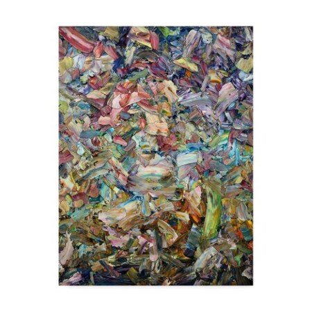 James W. Johnson 'Roadside Fragmentation' Canvas Art,35x47